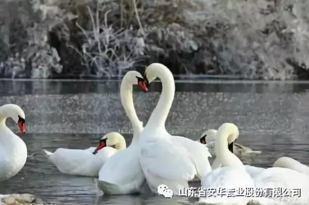 冬至大如年 陽生春又來